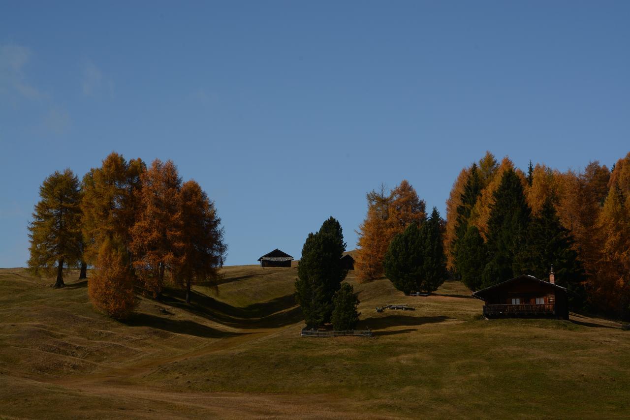 Dolomites B&B - Suites, Apartments And Spa Tesero Exterior foto